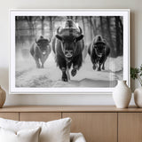 97552-MGC-FP-36x24_White-Black and White Bison Wall Art – Buffalo Herd Running in Snow Canvas Print, Rustic Wildlife Photography Decor for Cabin, Lodge, or