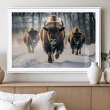 56549-MGV-CV-36X24-Wild Bison Wall Art – Majestic Buffalo Herd Running in Snow Canvas Print, Rustic Wildlife Photography Decor for Cabin, Lodge, or