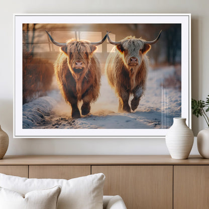 50490-MGC-FP-36x24_White-Highland Cow Wall Art – Rustic Panoramic Canvas Print Two Cattle Snowy Landscape, Farmhouse Country Decor for Living Room Office