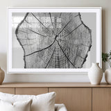 98709-MGC-FP-36x24_White-Tree Ring Wall Art – Black and White Canvas Print Rustic Wood Cross Section, Minimal Nature Inspired Decor for Living Room,