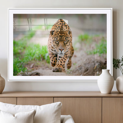 75066-MGC-FP-36x24_White-Leopard Wall Art Canvas Print, Framed Wild Animal Art Picture Print, Blue Eye Leopard Perfect Wild Minimal Decor Artwork