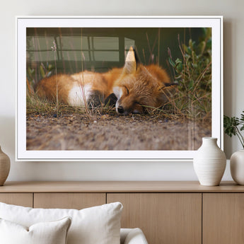 25085-MGV-CV-36X24-Sleeping Fox Wall Art Canvas Print, Framed Rustic Fox Art Picture Print, Wildlife Animal Perfect Rustic Farmhouse Decor Artwork