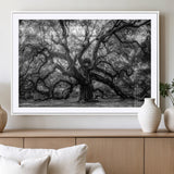 132944706-MGC-FP-36x24_White-Ancient Tree Wall Art – Black and White Photography Canvas Print Featuring Majestic Twisting Branches, Rustic Nature Artwork for