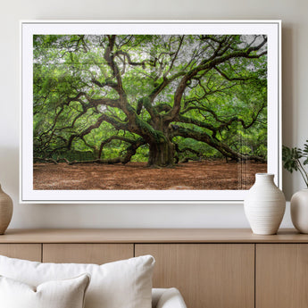 51255351-MGC-FP-36x24_White-Ancient Tree Wall Art – Majestic Oak Canvas Print, Large Nature Photography, Sacred Forest Landscape Wall Décor, Wisdom Tree