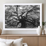 81655611-MGC-FP-36x24_White-Ancient Oak Wall Art Canvas Print, Framed Twisted Branches Art Picture Print, Gnarled Tree Perfect Moody Nature Decor Artwork