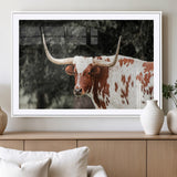 54027638-MGC-FP-36x24_White-Texas Longhorn Wall Art Canvas Print, Framed Spotted Cow Art Picture Print, Horned Bull Perfect Rustic Western Decor Artwork