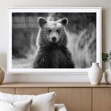 MGC-FP-36x24 - Grizzly Bear Wall Art Canvas Print, Framed Black White Bear Art Picture Print, Wild Bear Perfect Rustic Wildlife Decor Artwork