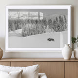 68081143-MGC-FP-36x24_White-Snowy Bison Wall Art Canvas Print, Framed Winter Forest Art Picture Print, Lone Bison Perfect Monochrome Winter Wild Decor Artwork