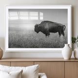 28435251-MGC-FP-36x24_White-Bison In Prairie Wall Art Canvas Print, Framed Rustic Wildlife Art Picture Print, Wild Buffalo Perfect Rustic Western Decor