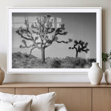50975475-MGV-CV-36X24-Joshua Tree Art Wall Art Canvas Print, Framed Desert Tree Print Art Picture Print, Black White Nature Perfect Southwestern Boho