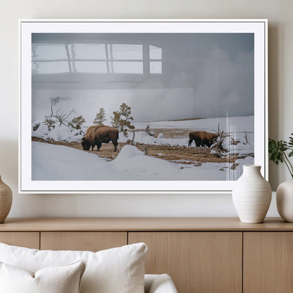60308289-MGC-FP-36x24_White-Bison Wildlife Wall Art Canvas Print, Framed Snowy Prairie Art Picture Print, Western Landscape Perfect Rustic Winter Decor