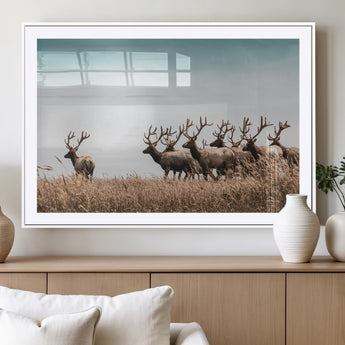 81594705-MGC-FP-36x24_White-Elk Herd Wall Art Canvas Print, Framed Wildlife Photography Art Picture Print, Rustic Nature Print Perfect Rustic Wildlife Decor