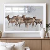41416314-MGC-FP-36x24_White-Elk Wall Art – Wildlife Herd Canvas Print in Snowy Landscape, Rustic Nature Painting, Western Cabin Lodge Decor for Living Room,