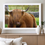 68411138-MGV-CV-36X24-Farmhouse Wall Art – Highland Cow Canvas Print, Rustic Country Cattle Photography Decor for Bedroom, Living Room, Office, Ranch,