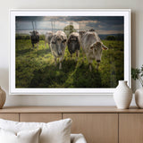 67277447-MGV-CV-36X24-Farmhouse Wall Art – Herd of Cows Canvas Print, Rustic Country Pasture Photography Decor for Bedroom, Living Room, Office, Ranch,