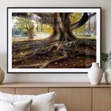 53335-MGV-CV-36X24-Majestic Tree with Sprawling Roots Wall Art – Serene Sunlit Park Scene, Nature Canvas Print, Perfect for Living Room, Office or