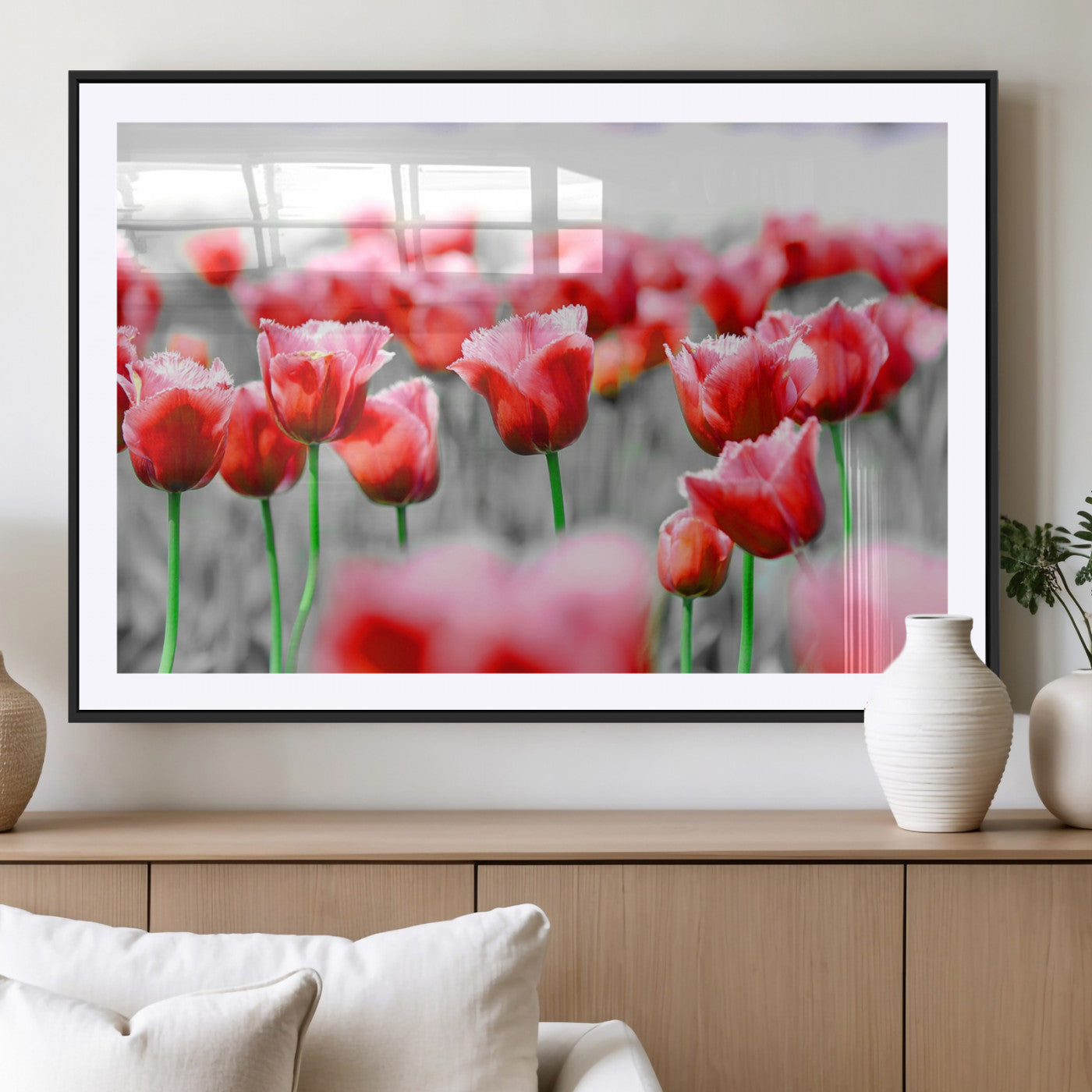 44554-MGV-CV-36X24-Vibrant red tulips stand out beautifully against a black-and-white background, making a striking decor piece perfect for any home