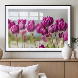 30632-MGV-CV-36X24-Purple Tulip Field Wall Art – Beautiful Spring Flowers Canvas Print with Soft Focus and Bright Sky, Ideal Floral Decor for Home or