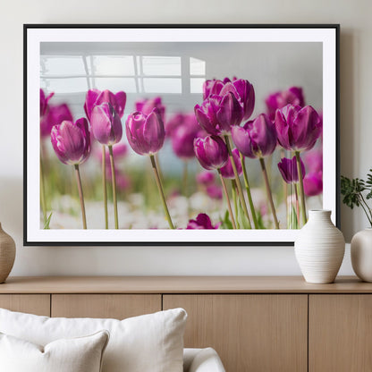 30632-MGV-CV-36X24-Purple Tulip Field Wall Art – Beautiful Spring Flowers Canvas Print with Soft Focus and Bright Sky, Ideal Floral Decor for Home or