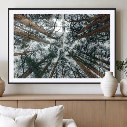 18790-MGV-CV-36X24-Pine Canopy Wall Art – Panoramic View of Towering Pines Canvas Print, Nature-Inspired Decor for Office, Cabin or Living Room