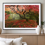 73343-MGV-CV-36X24-Autumn Maple Wall Art – Panoramic Vibrant Red Maple Tree Canvas Print, Seasonal Nature Decor for Office, Living Room or Garden