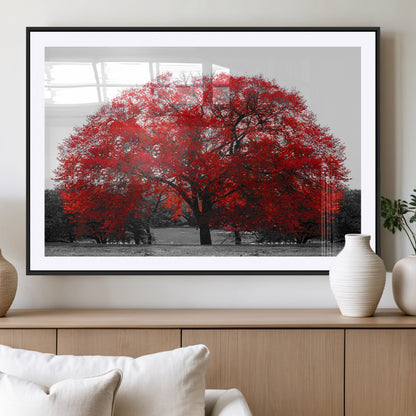 80021-MGC-FP-36x24_Black-Red Tree Wall Art – Striking Black and White Landscape Canvas Print with Vibrant Red Leaves, Modern Nature Decor for Living Room