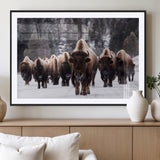 66871-MGC-FP-36x24_Black-Bison Herd Wall Art – Wildlife Buffalo Canvas Print, Rustic Western Nature Photography Decor for Living Room, Office, Cabin, or