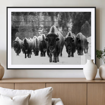 62434-MGV-CV-36X24-Bison Herd Wall Art – Majestic Black and White Buffalo Canvas Print, Wildlife Nature Photography Decor for Living Room, Office or