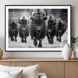 79872-MGV-CV-36X24-Bison Herd Wall Art – Black and White Buffalo on Snow Canvas Print, Rustic Wildlife Decor for Lodge, Cabin, or Living Room