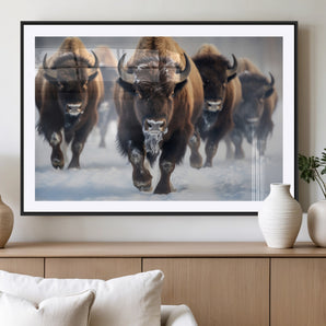80512-MGC-FP-36x24_Black-Bison Herd Wall Art – Buffalo Running in Snow Canvas Print, Rustic Wildlife Photography Decor for Cabin, Lodge, or Living Room
