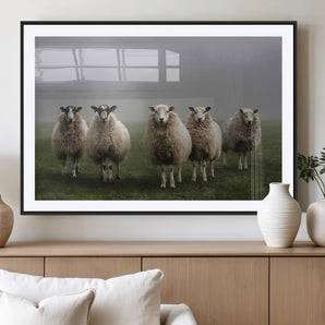 87339-MGC-FP-36x24_Black-Sheep Wall Art – Rustic Farmhouse Canvas Print Flock Standing Misty Field Countryside Photography, Country Animal Decor for Living