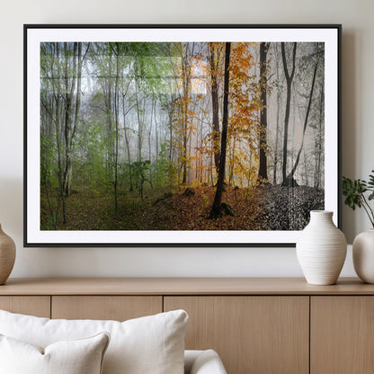 95317-MGV-CV-36X24-Four Seasons Forest Wall Art – Panoramic Nature Canvas Print Showing Spring, Summer, Autumn and Winter Landscape for Living Room,