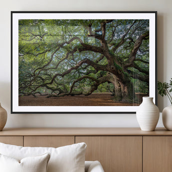 MGC-FP-36x24 - Historic Tree Wall Art Canvas Print, Framed Mossy Tree Art Picture Print, Twisted Branches Perfect Nature Southern Decor Artwork