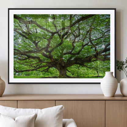 49375306-MGV-CV-36X24-Ancient Tree Wall Art Canvas Print, Framed Sprawling Branches Art Picture Print, Gnarling Tree Perfect Earthy Natural Decor