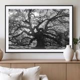 81655611-MGC-FP-36x24_Black-Ancient Oak Wall Art Canvas Print, Framed Twisted Branches Art Picture Print, Gnarled Tree Perfect Moody Nature Decor Artwork