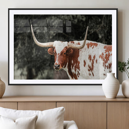 54027638-MGC-FP-36x24_Black-Texas Longhorn Wall Art Canvas Print, Framed Spotted Cow Art Picture Print, Horned Bull Perfect Rustic Western Decor Artwork
