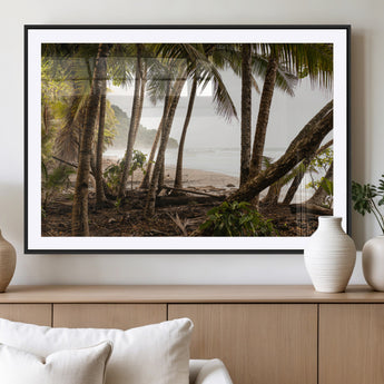 92093951-MGC-FP-36x24_Black-Tropical Jungle Wall Art Canvas Print, Framed Palm Tree Forest Art Picture Print, Coastal Escape Perfect Jungle Retreat Decor