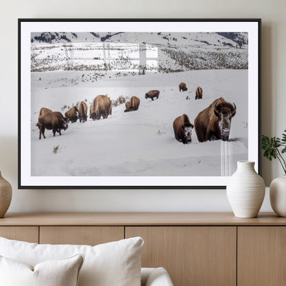 13891210-MGC-FP-36x24_Black-Bison Herd Scene Wall Art Canvas Print, Framed Western Wildlife Decor Art Picture Print, Snowy Mountain Valley Perfect Rustic
