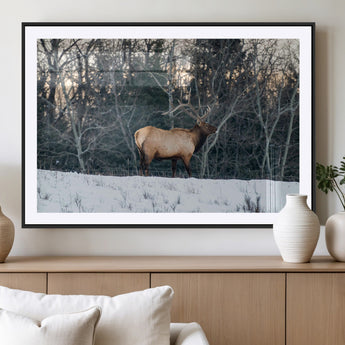 36533178-MGV-CV-36X24-Wild Elk Photography Wall Art Canvas Print, Framed Winter Wildlife Art Picture Print, Snowy Forest Perfect Rustic Lodge Decor