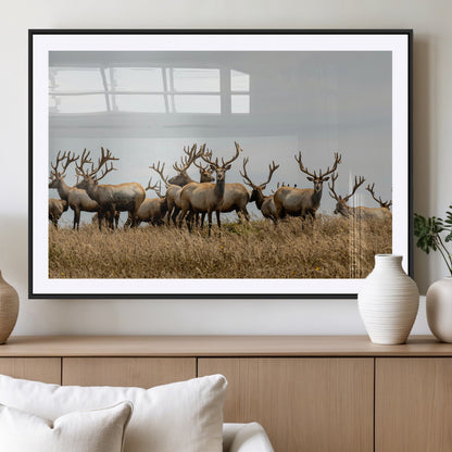 42170220-MGV-CV-36X24-Elk Herd Wall Art Canvas Print, Framed Wildlife Photography Art Picture Print, Majestic Antlers Perfect Rustic Wildlife Decor