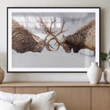 99240306-MGC-FP-36x24_Black-Elk Wall Art – Two Bull Elk Fighting in Snow Canvas Print, Rustic Wildlife Artwork for Cabin, Lodge, Western Farmhouse, Nature &