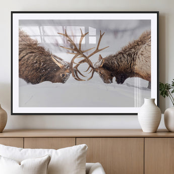 99240306-MGC-FP-36x24_Black-Elk Wall Art – Two Bull Elk Fighting in Snow Canvas Print, Rustic Wildlife Artwork for Cabin, Lodge, Western Farmhouse, Nature &