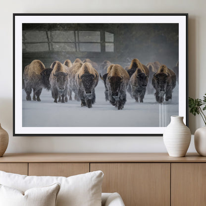 30332489-MGV-CV-36X24-Winter Bison Herd Wall Art – Powerful Buffalo Canvas Print, Rustic Wildlife Photography Decor for Farmhouse, Cabin, Lodge, Living
