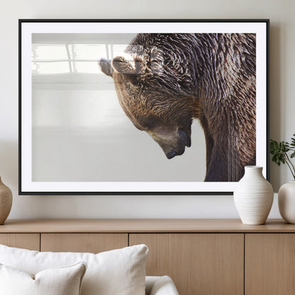 14405507-MGV-CV-36X24-Bear Wall Art – Wildlife Canvas Print with Rustic Animal Portrait and Minimalist Background, Nature Inspired Photography for