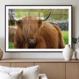 68411138-MGV-CV-36X24-Farmhouse Wall Art – Highland Cow Canvas Print, Rustic Country Cattle Photography Decor for Bedroom, Living Room, Office, Ranch,