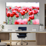 44554-MGV-CV-36X24-Vibrant red tulips stand out beautifully against a black-and-white background, making a striking decor piece perfect for any home