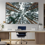 18790-MGV-CV-36X24-Pine Canopy Wall Art – Panoramic View of Towering Pines Canvas Print, Nature-Inspired Decor for Office, Cabin or Living Room