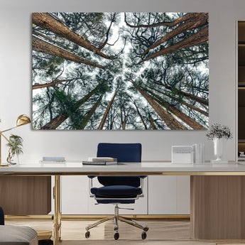 18790-MGV-CV-36X24-Pine Canopy Wall Art – Panoramic View of Towering Pines Canvas Print, Nature-Inspired Decor for Office, Cabin or Living Room