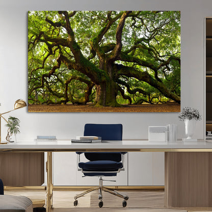 29407-MGV-CV-36X24-Ancient Oak Tree Wall Art – Majestic Nature Canvas Print, Large Tree Photography Decor for Living Room