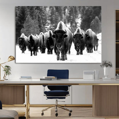 62434-MGV-CV-36X24-Bison Herd Wall Art – Majestic Black and White Buffalo Canvas Print, Wildlife Nature Photography Decor for Living Room, Office or